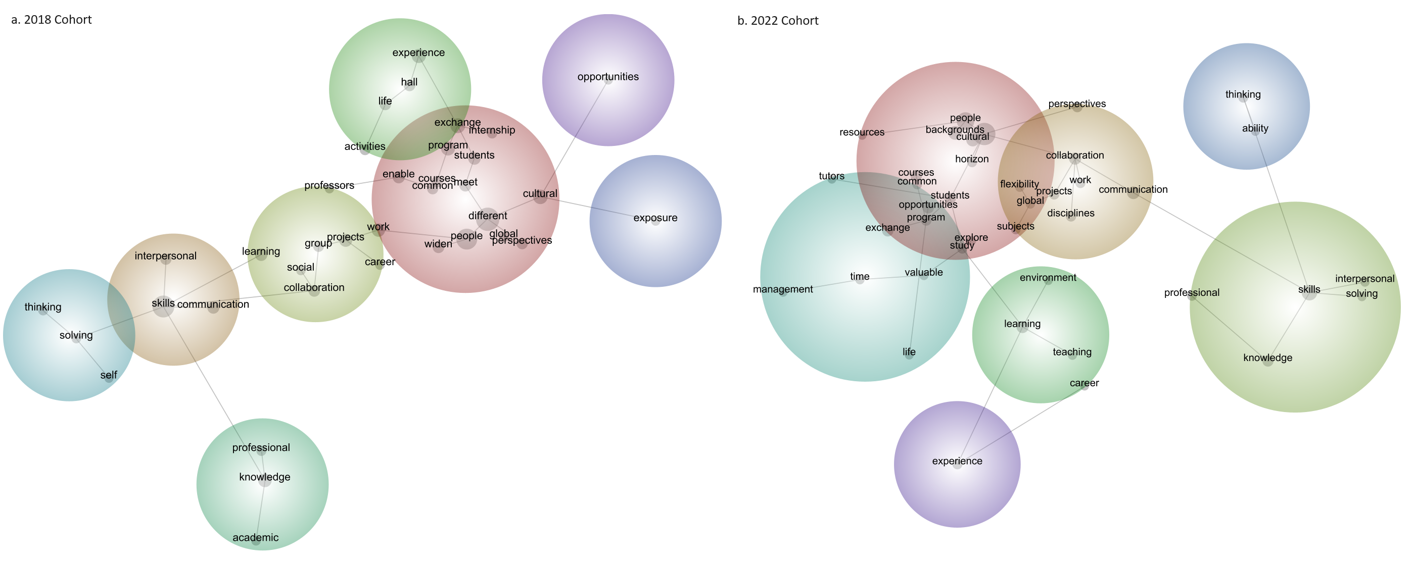 Concept Map of Comments on the Most Valuable University Experience